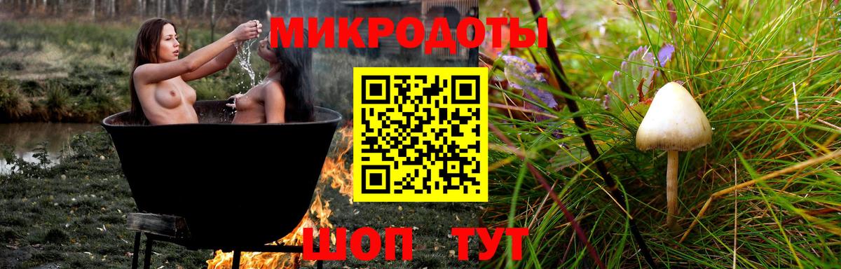 Галлюциногенные грибы прущие грибы  Вход с VPN  Волоколамск  Галлюциногенные грибы прущие грибы 
